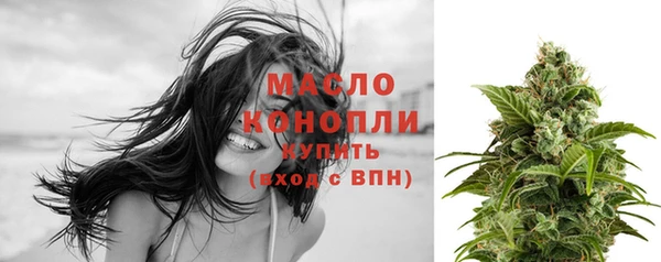 крисы Мегион