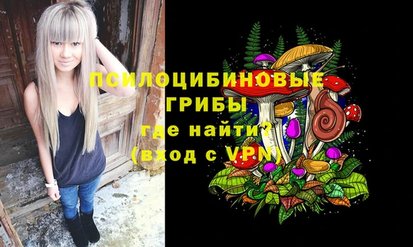 крисы Мегион
