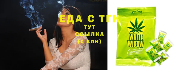крисы Мегион