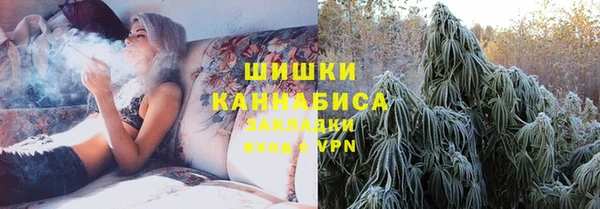 крисы Мегион
