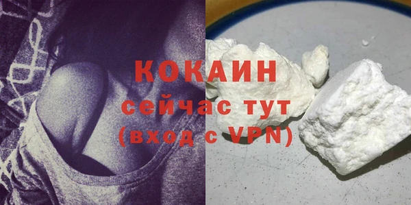 крисы Мегион