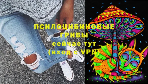крисы Мегион
