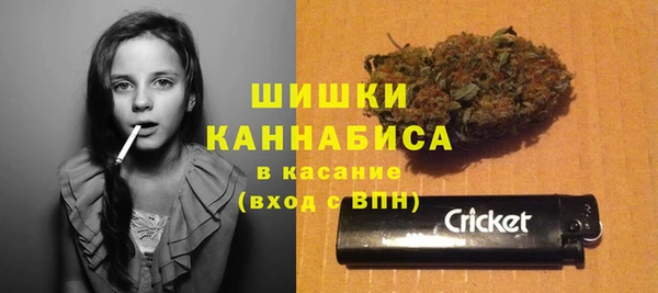 крисы Мегион
