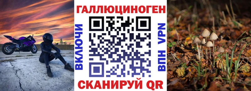 Псилоцибиновые грибы Psilocybe  мега tor  Власиха  купить наркотик 