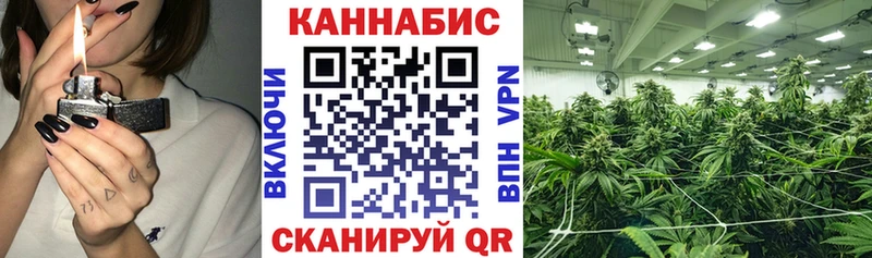 Каннабис индика  где продают   KRAKEN маркетплейс  Власиха 